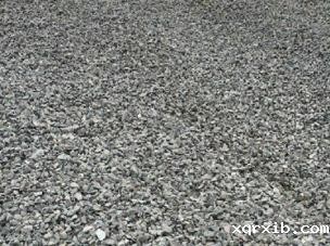 thumb_304_227_20230310112746693.jpg